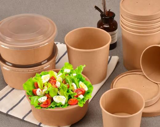 Biodegradable Paper Bowl Manufacturers Italy