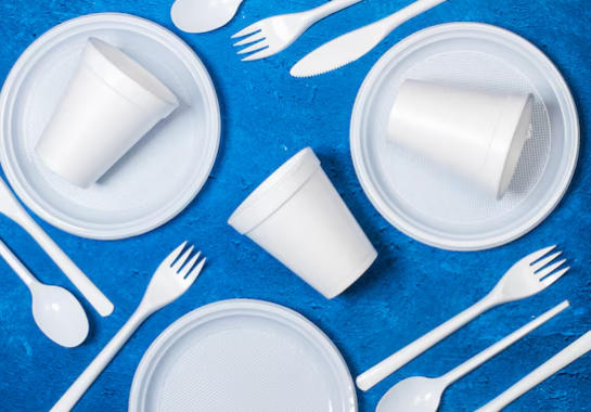 Eco-Friendly Disposable Tableware Manufacturers In Portugal