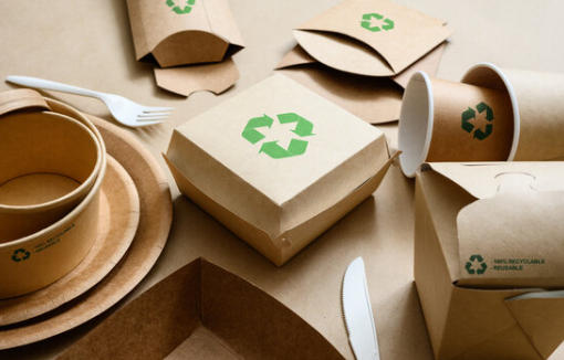 Top Paper Dish Manufacturers And Suppliers in Arabia