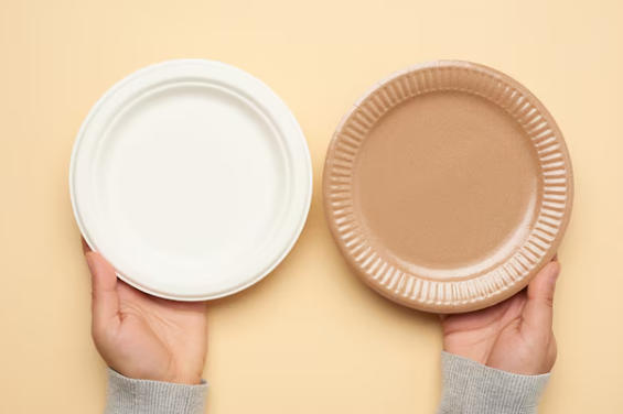 Top Paper Dish Manufacturers And Suppliers in Russia