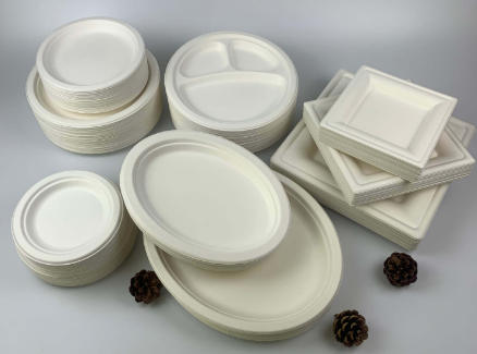 Russia Catering Disposable Products Russia Catering Disposable Products