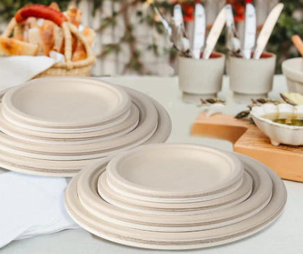 Compostable Dinnerware Suppliers France Compostable Dinnerware Suppliers France