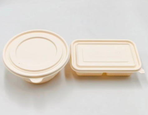 Single Use Food Container Supplier Single Use Food Container Supplier