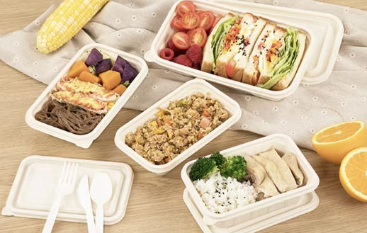 Disposable Food Packaging Italy Disposable Food Packaging Italy