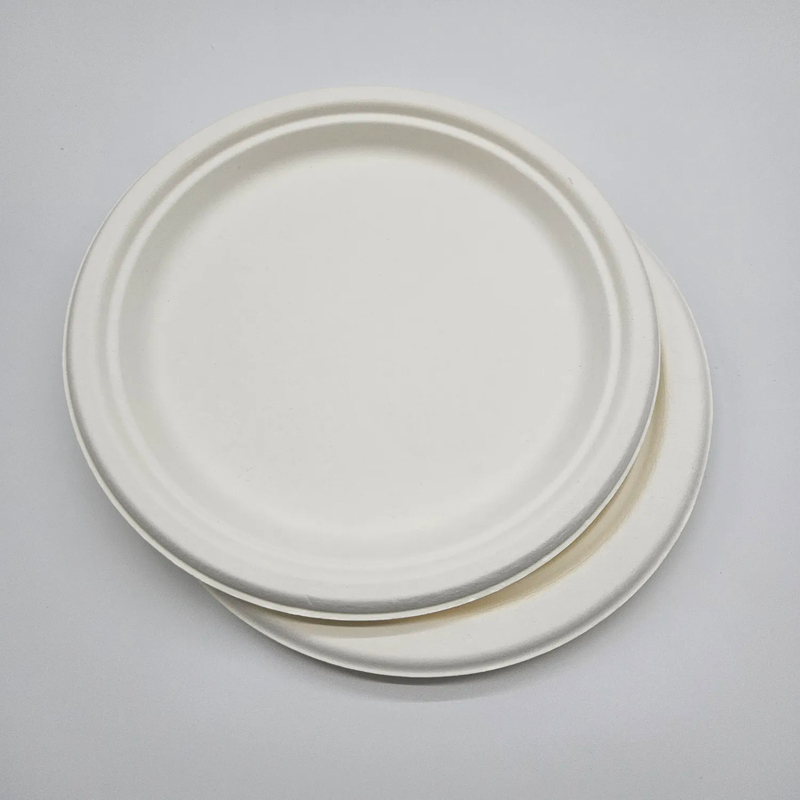 Special Series 23Cm Round Plate