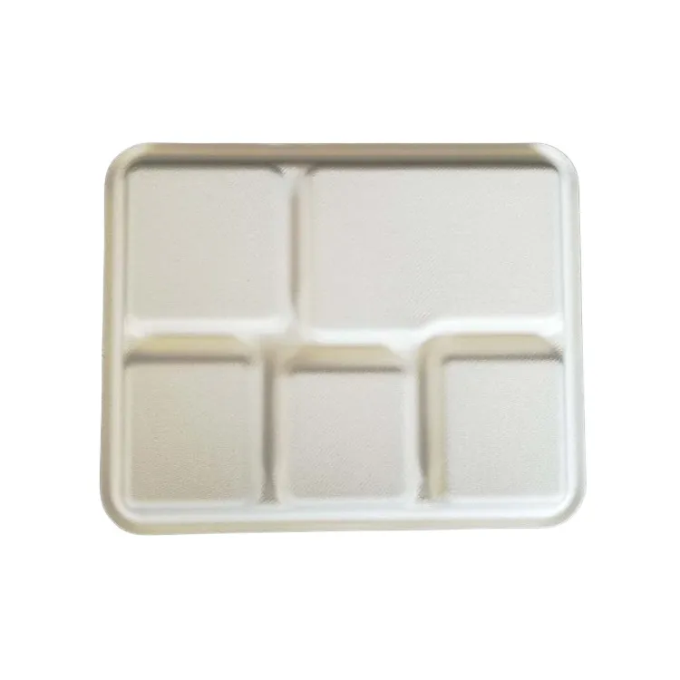 Big Size 5 Compartment Rectangular Plate