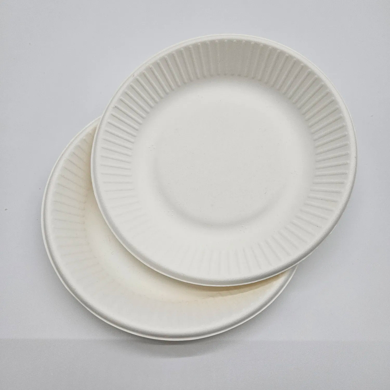 Special Series 6 Inch Flower Pattern Round Plate