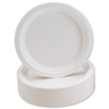 10 Inch Round Plate