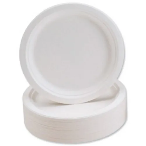 10 Inch Round Plate