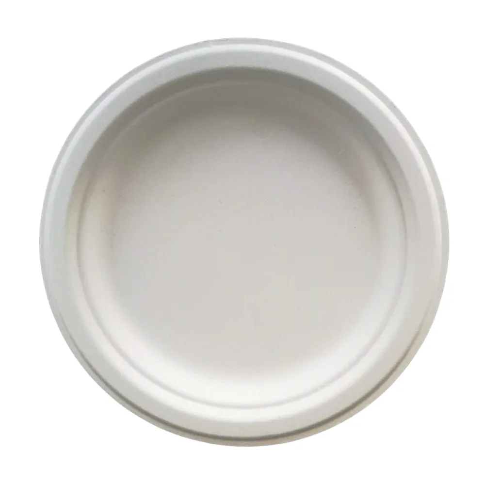 7 Inch Round Plate