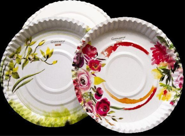 Disposable Plate_3