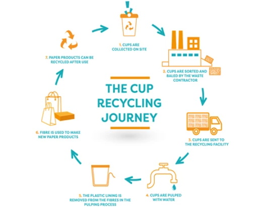 Recycle Disposable Cups_3