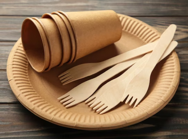 Golden Apple Disposable Tableware_1
