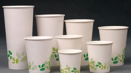 Disposable Cup_2.jpg