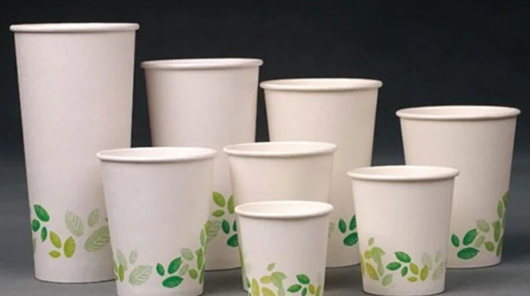 What Are The Latest Trends in Disposable Cup Design?