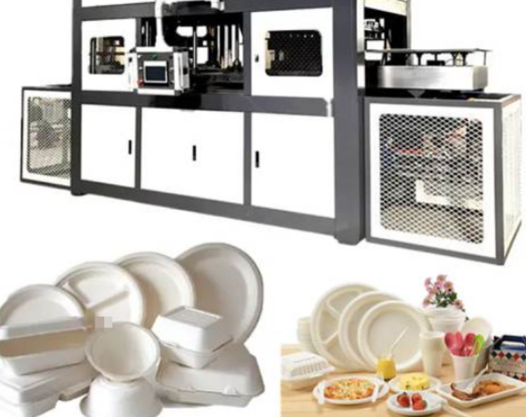 How Does A Biodegradable Disposable Plate Making Machine Work?