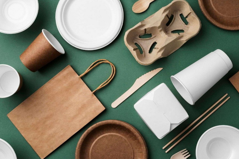 Are There Eco-Friendly Holiday Disposable Tableware Options?