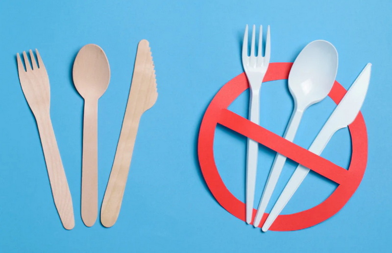 wood disposable cutlery_1