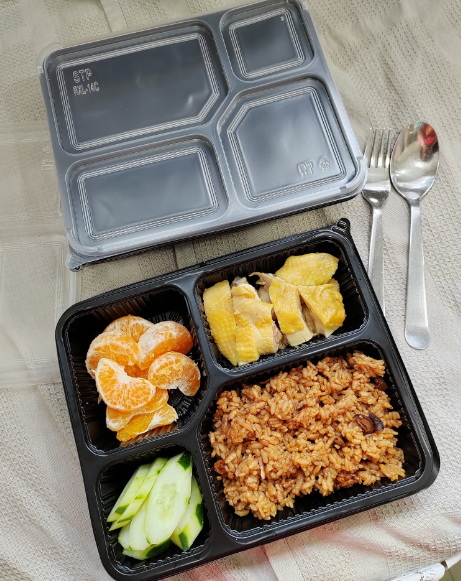 Reusable Disposable Lunch Box