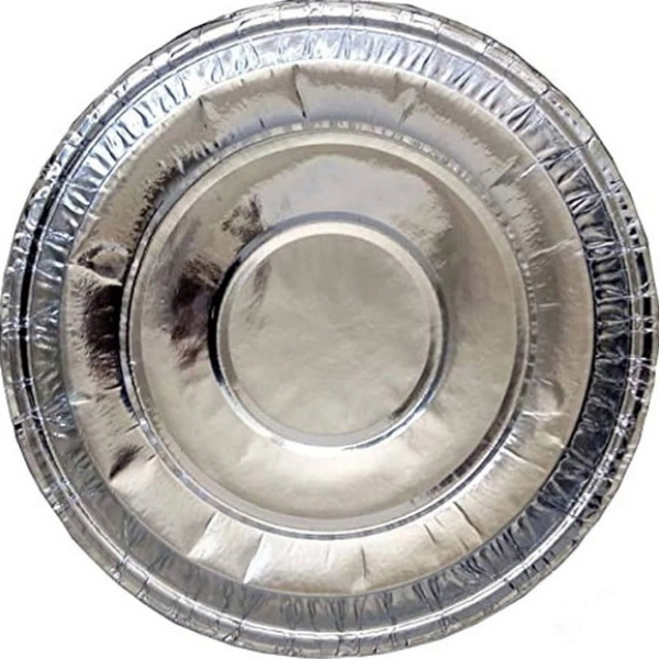 Are Silver Disposable Plates Eco-Friendly And Biodegradable?