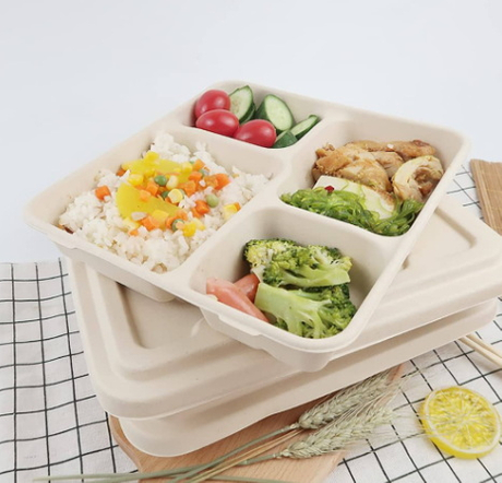 Disposable Lunch Box_21.jpg