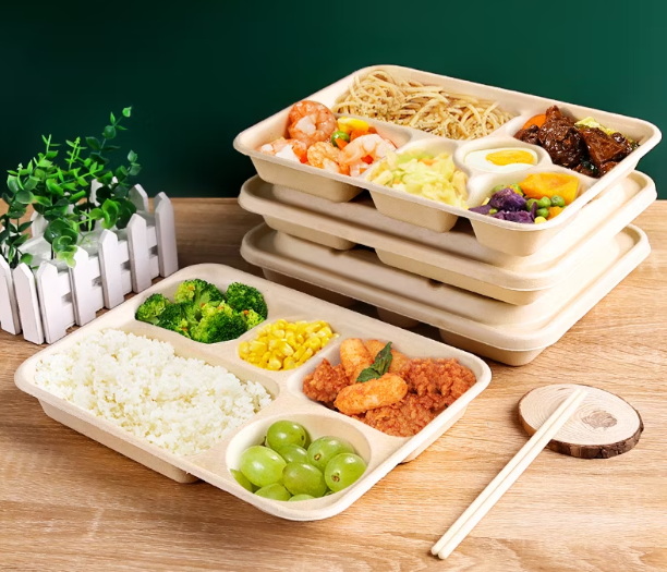What Are The Best Disposable Box Lunch Containers for Work?