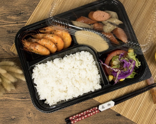 Disposable Bento Lunch Boxes_3.jpg