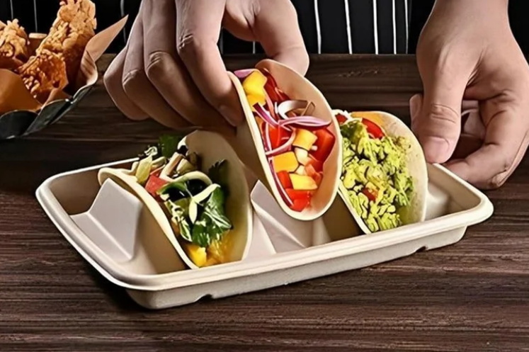 disposable taco holder plate_1