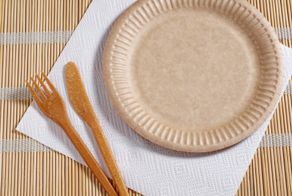 Why Choose Bamboo Plates Over Plastic?