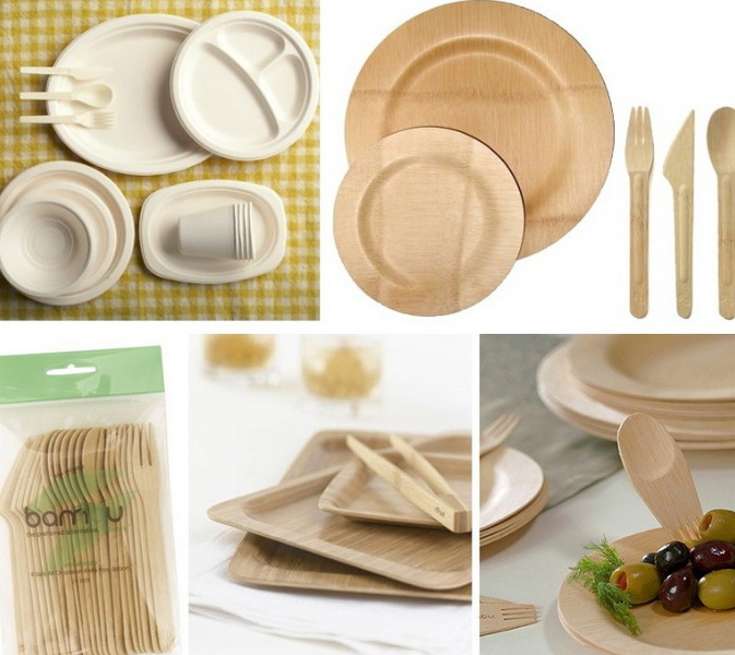 What Makes Wasara Disposable Tableware Unique?