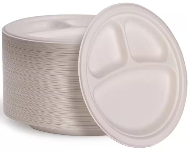 Are Walgreens Disposable Plates Durable for Parties?