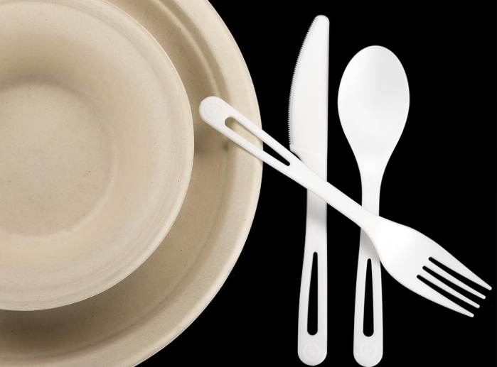 Are Disposable Pie Plates Safe for Oven Use?