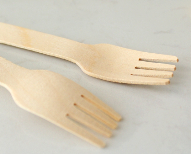 Reusable Disposable Cutlery