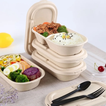 Degradable Packaging For Catering Business