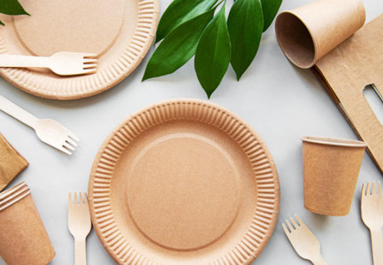 Compostable Paper Tableware China Compostable Paper Tableware China