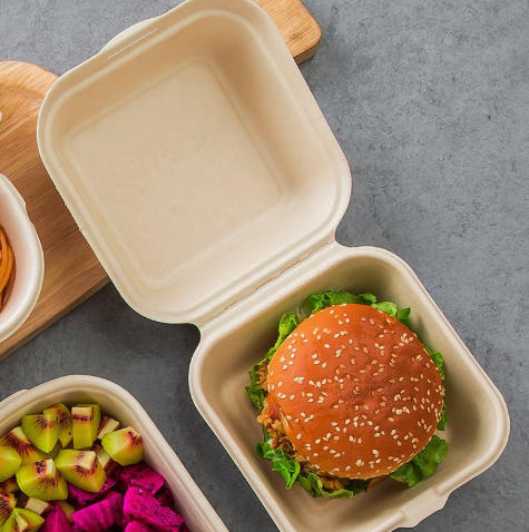 Biodegradable Bento Box Supplier