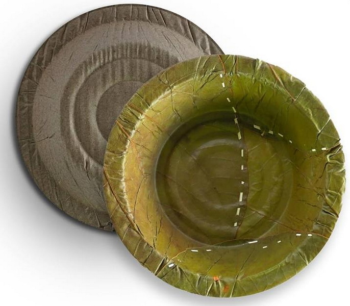 How Can Eco-Friendly Disposable Bowls and Plates Help Reduce Waste?