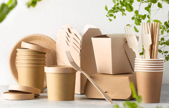 Paper Lunch Box Factory In Spain