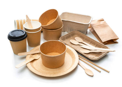 Top Paper Bowl Manufacturers And Suppliers in Europe.jpg