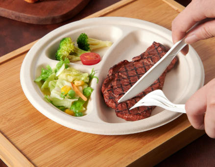 Top Disposable Plate Manufacturers And Suppliers in Hungary