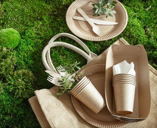 Top Disposable Tableware Manufacturers And Suppliers in Philippines