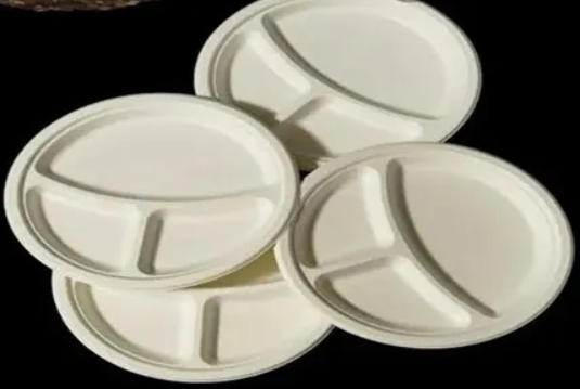 Eco Friendly Disposable Tableware Manufacturers In Russia