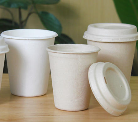 Top Disposable Tableware Manufacturers And Suppliers in France