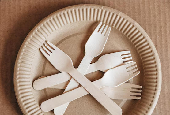 Biodegradable Paper Cutlery Suppliers Netherlands Biodegradable Paper Cutlery Suppliers Netherlands
