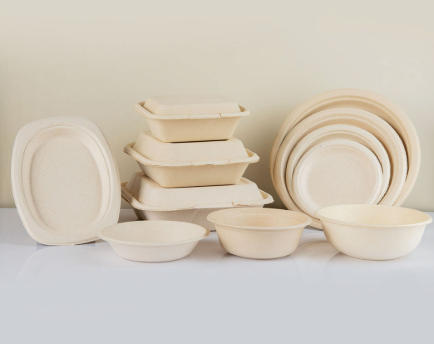 Food Grade Fiber Bowl Suppliers Kazakhstan