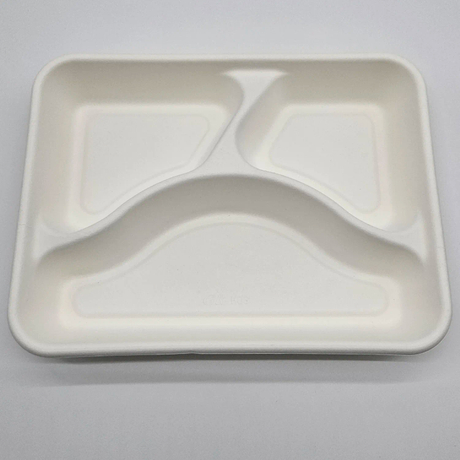 Business Series 3 Compartment Rectangular Plate