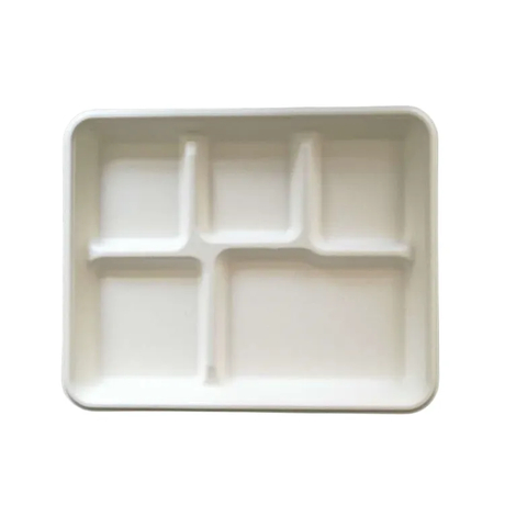Small Size 5 Compartment Rectangular Plate