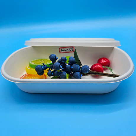 800ML 1 Compatmetn Container Box