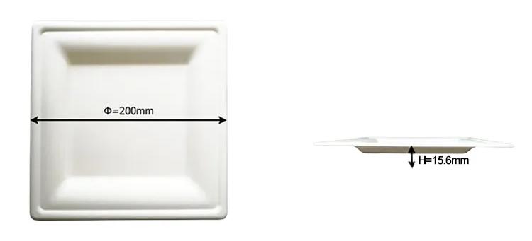 8 Inch Square Plate Size