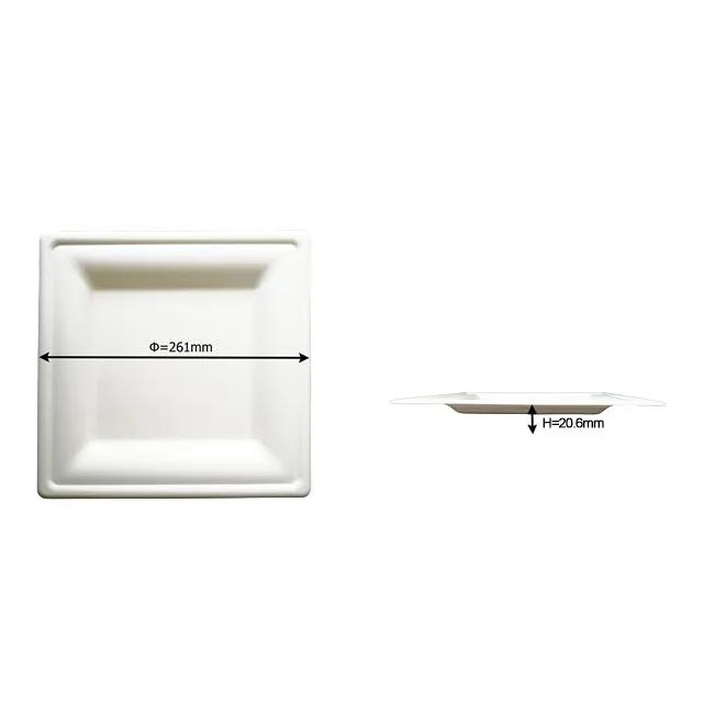 10 Inch Square Plate
